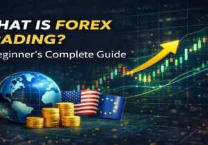 What is forex trading beginner guide showing currency exchange chart and global market