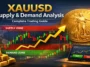 XAUUSD Supply & Demand Analysis with gold trading chart and zones